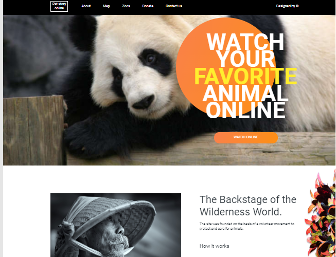 Online-zoo project screenshot